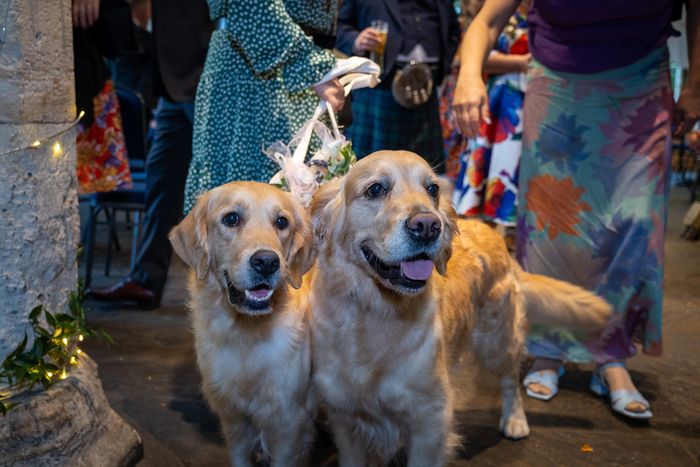 Iris and Hazel at our wedding