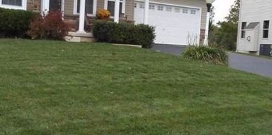 Well-maintained suburban house with green lawn and bushes.