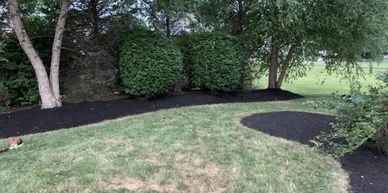 Freshly mulched garden beds surrounding a grassy lawn with trees and bushes.