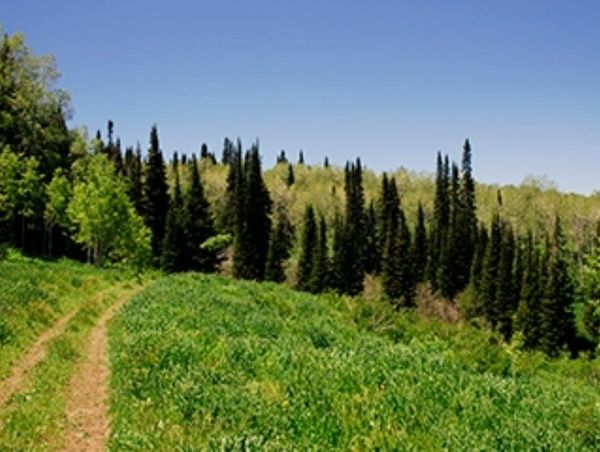 Ranch land in Monte Cristo