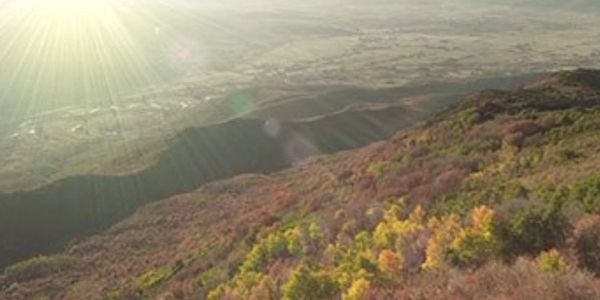 Mountain Property