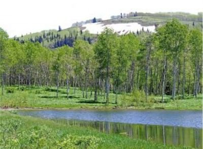 Mountain Ranches