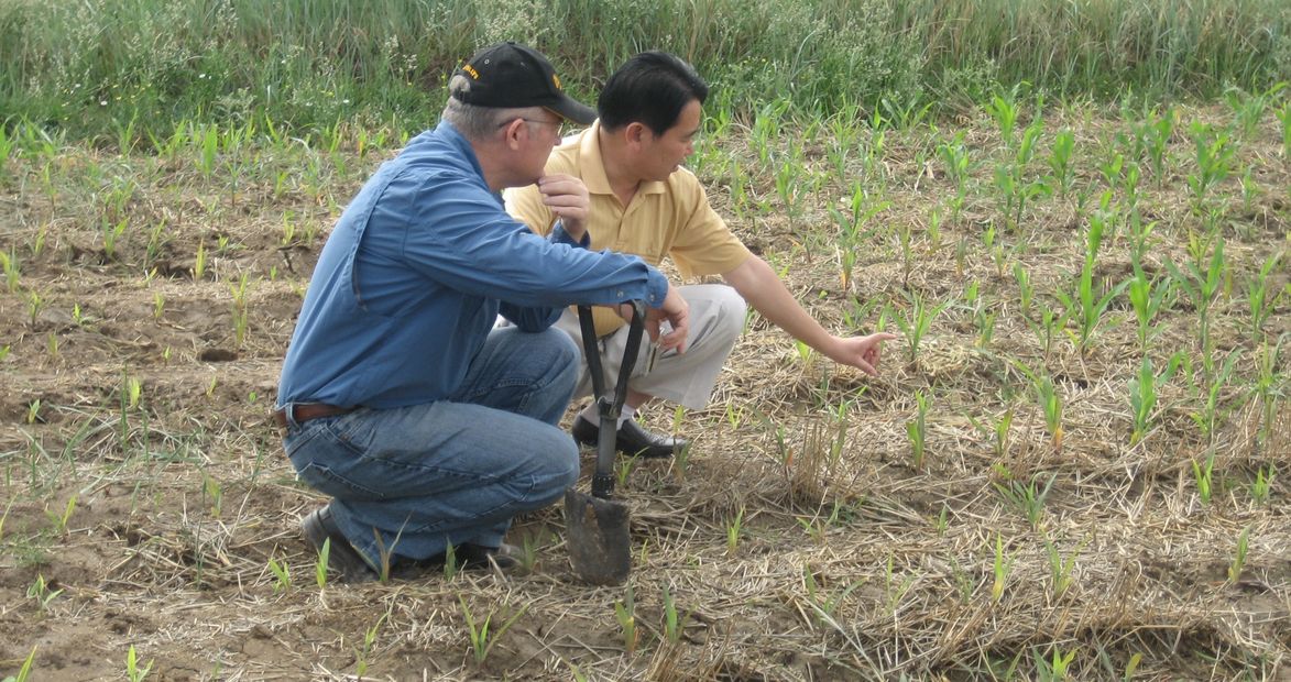 Assessing soil health under permanent raised beds in Gansu Province