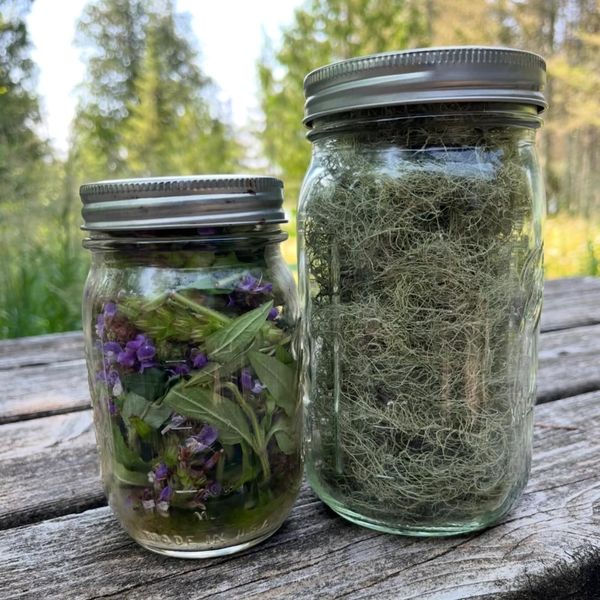 Two glass jars filled with herbs and moss on a wooden surface outdoors.