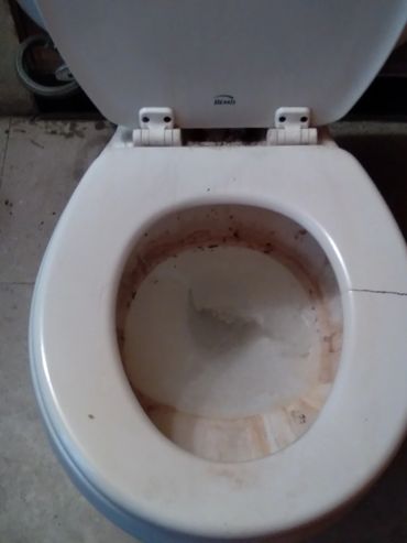 Dirty toilet, before cleaning