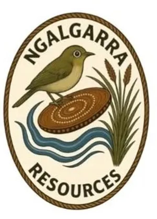 Logo featuring a bird, water waves, and plants for Ngalgarra Resources. Aboriginal designed logo for Indigenous Corporation. Highlights Lean Six Sigma project management services.