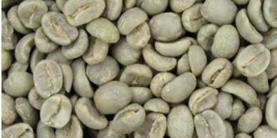 Unroasted Colombian Coffee