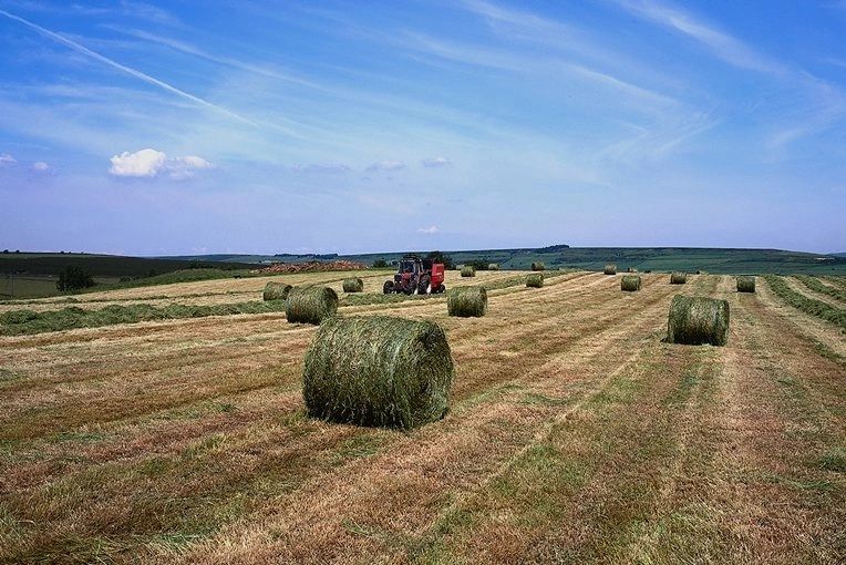 Farm Accounting Software Specialized Data Systems, Inc