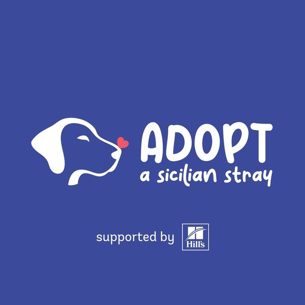 Adopt a Sicilian Stray Logo