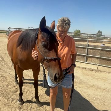 Person gently holding a horse's head in an outdoor fenced area.
