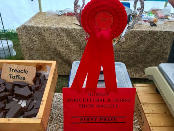 The most prestigious award , Romney agricultural show 