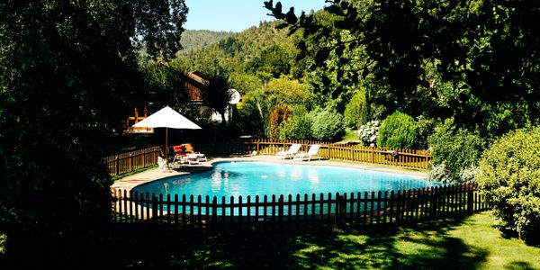 Outdoor swimming pool surrounded by greenery with lounge chairs and an umbrella.