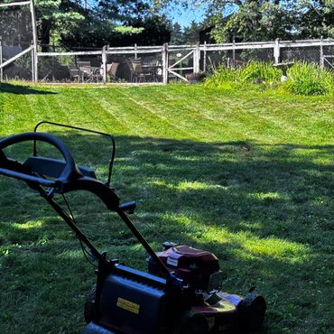 Lawn mower on a freshly cut grass lawn under a sunny sky.