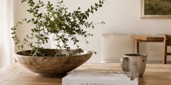 Potted plant, book, and cup on wooden table.