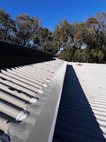 Corrugated metal roof under clear blue sky with surrounding trees.