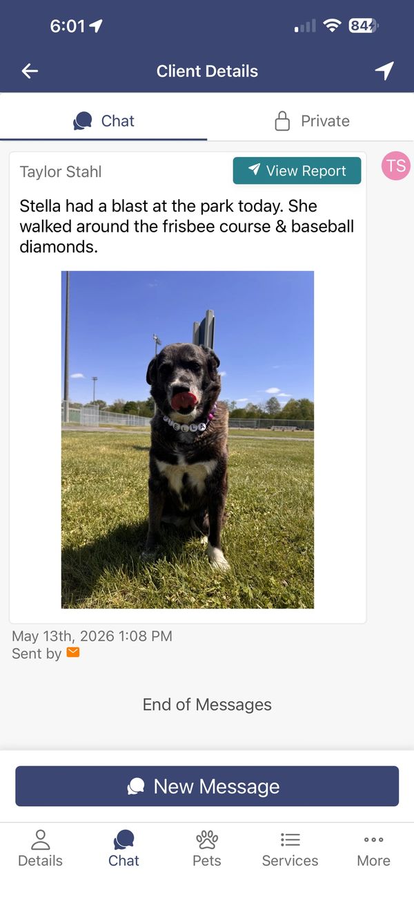 Black dog sitting on grass at a park under clear blue sky.
