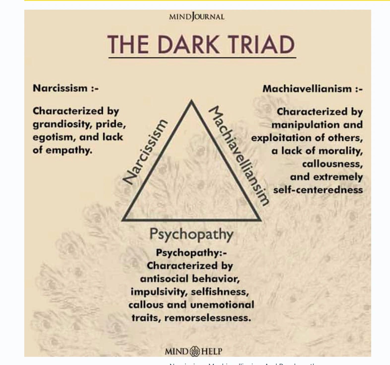 The Dark Triad: Narcissism, Machiavellianism, and Psychopathy traits.