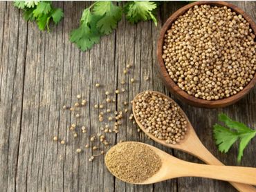 High quality coriander powder and whole coriander seeds supplied by SLS Enterprises, Guntur.