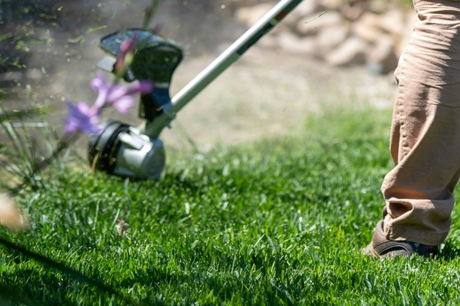 cutting grass using a trimmer tool.