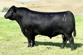 Connelly Black Granite