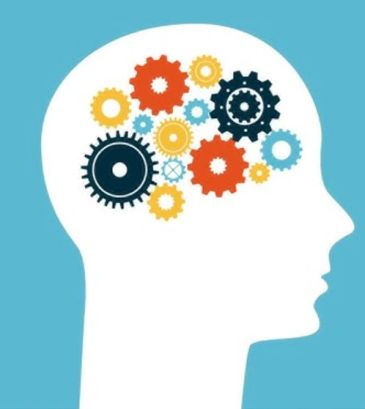 Silhouette of a head with colorful gears inside, symbolizing thinking.