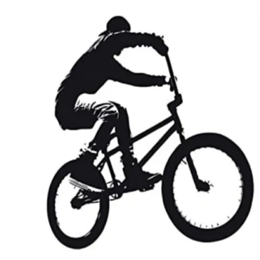 Silhouette of a person performing a jump on a BMX bike.