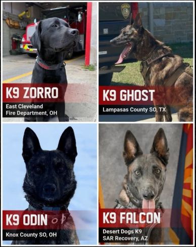 K9