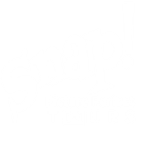 Snap! Picture Perfect Tours                     