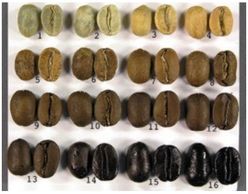 COFFEE ROASTING BEAN CHART
