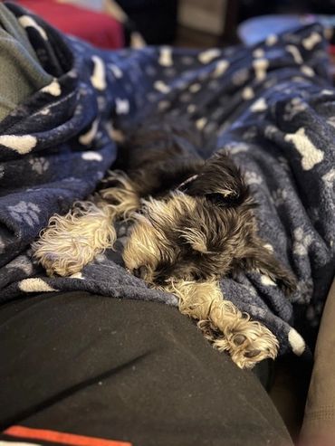 Dolly Jo chilling out