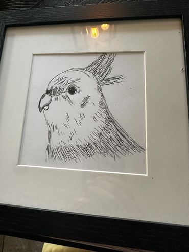 Mrs. Whitefeather is a made-up parrot, but her head is covered in white feathers so that is her name