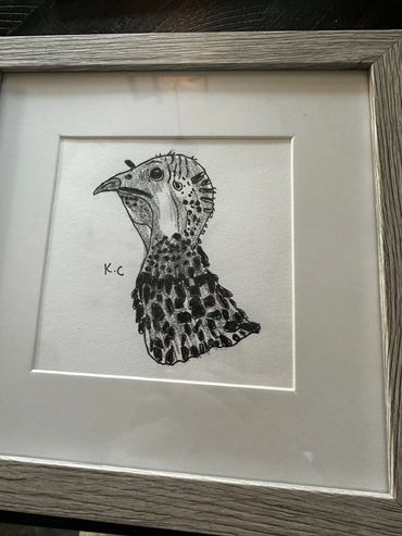 Turkey drawing