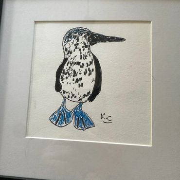 This Blue-footed Booby is named Bobby.