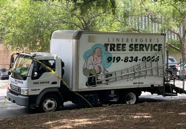 Lineberger's Tree Service box truck on the job.
