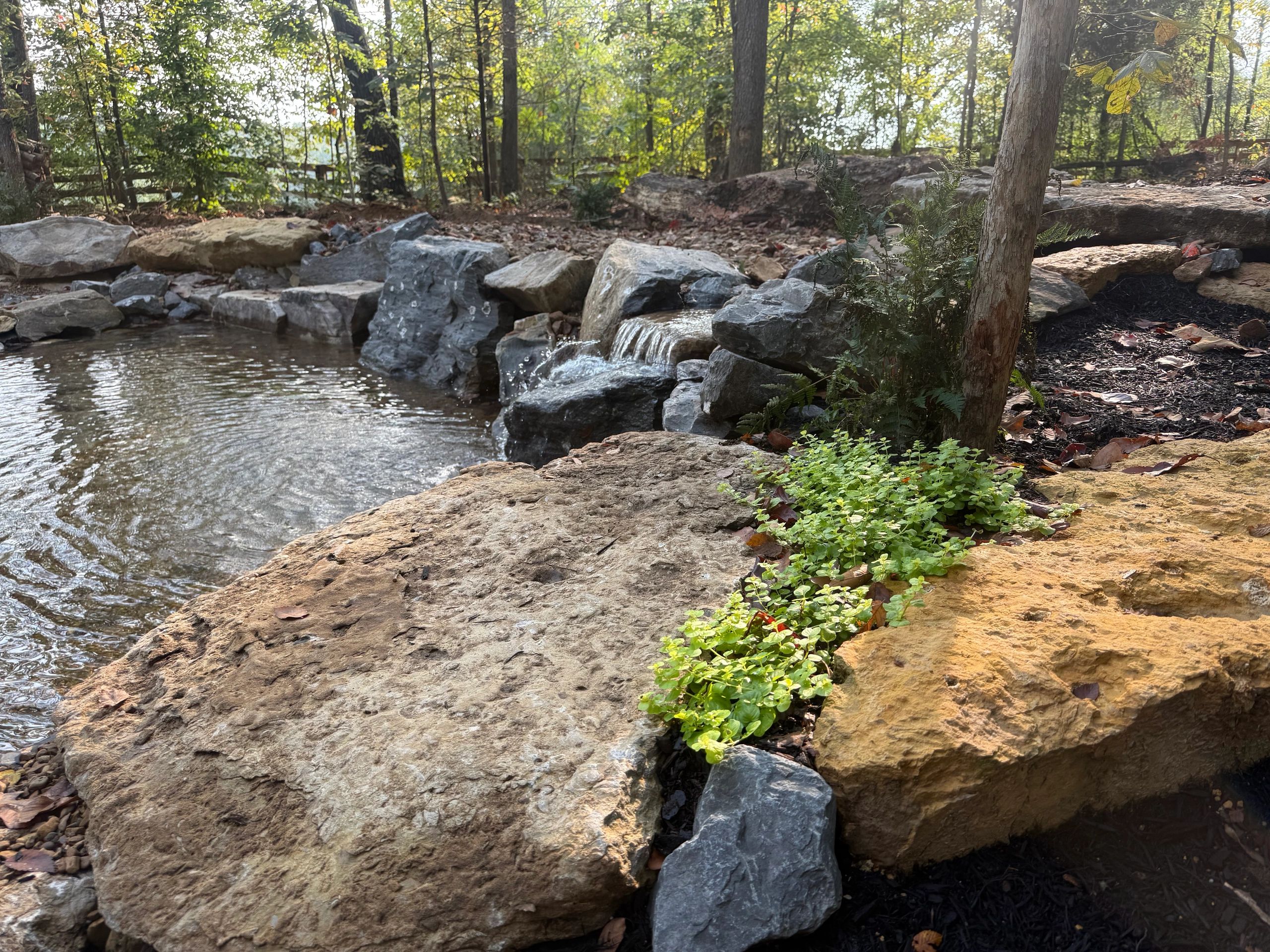 Beautiful natural pond with rocky surroundings and trees