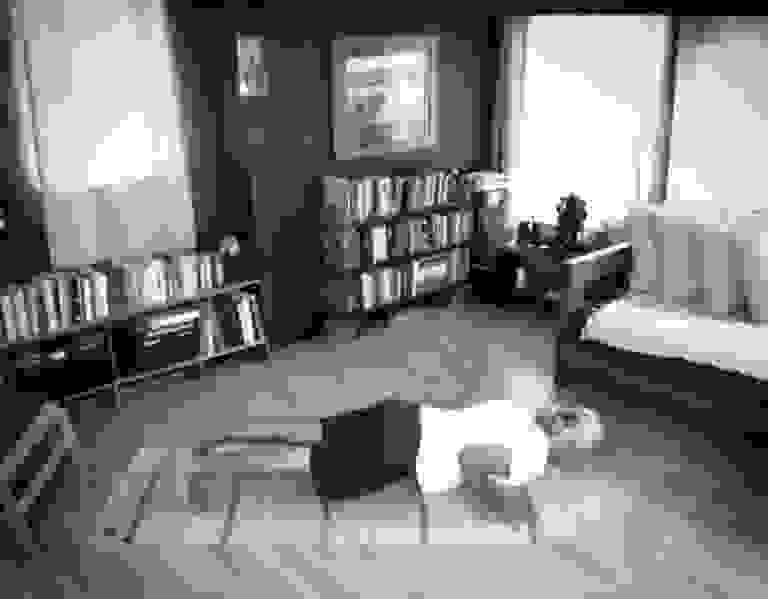 chataranga dandasana