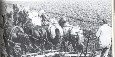 Photograph from our collection