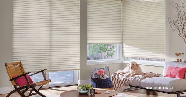Hunter Douglas Sonnette Roller Shades with Powerview motorization and home automation