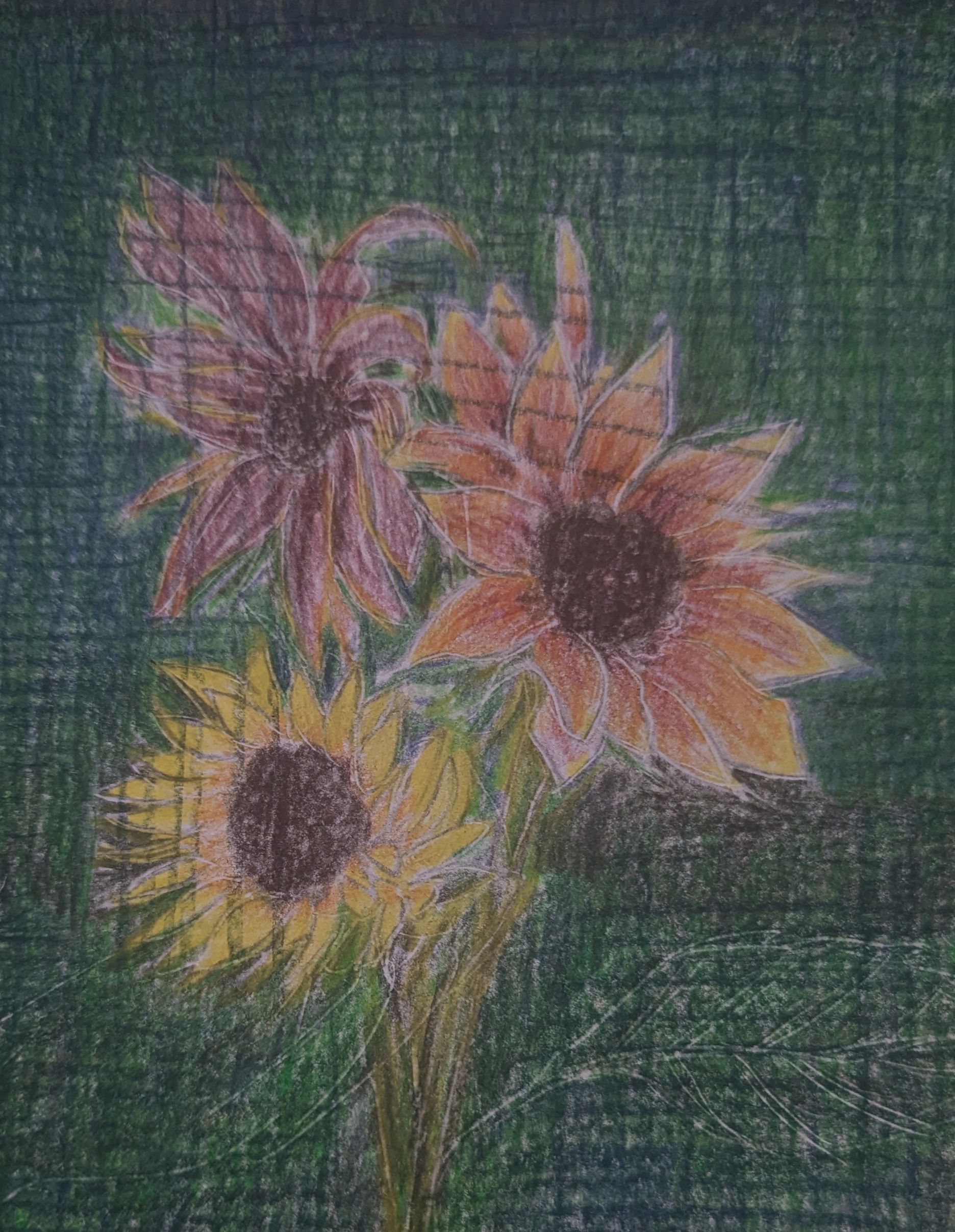 Crayon drawing of three sunflowers on a green background.