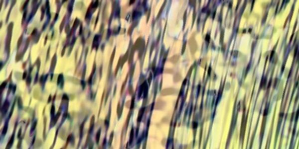 Yellow patterned detail of Wild Ecology of Wild Ecology © 2021 Jen Seron.