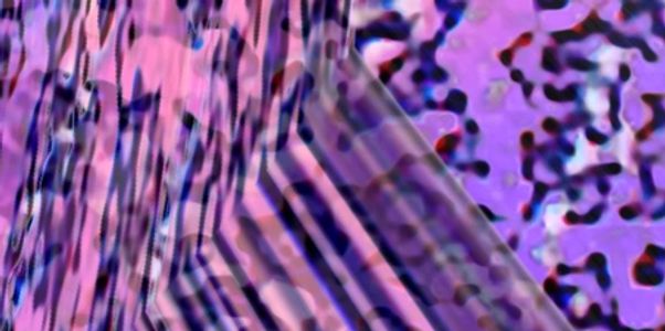 Purple patterned detail of Wild Ecology of Wild Ecology © 2021 Jen Seron.