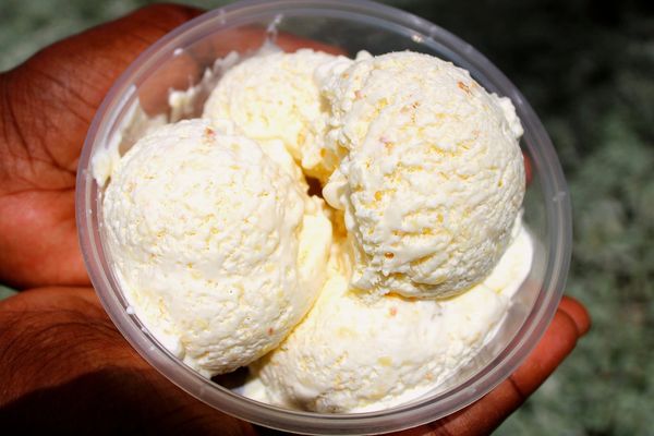 jackfruit gelato prepared with local fresh fruits a real delicious dessert italian jamaican