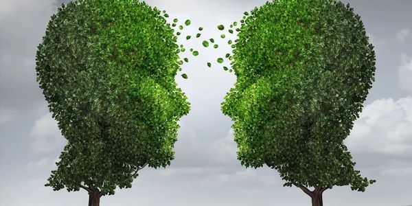 Gaia is the Mirror of You and Your Health
