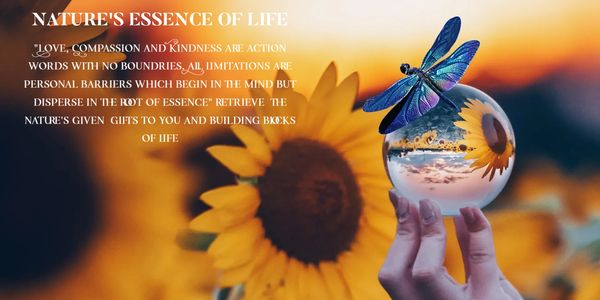 The way of Nature