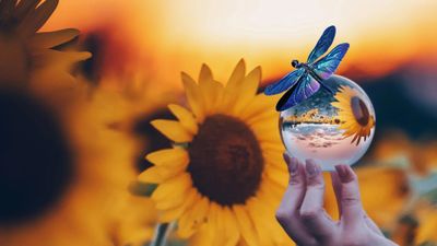 Precision is the Key in Nature's Inner Engineering