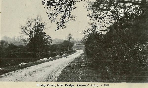 Brisley Green