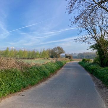 A country lane in Brisley village with blue skies and trees