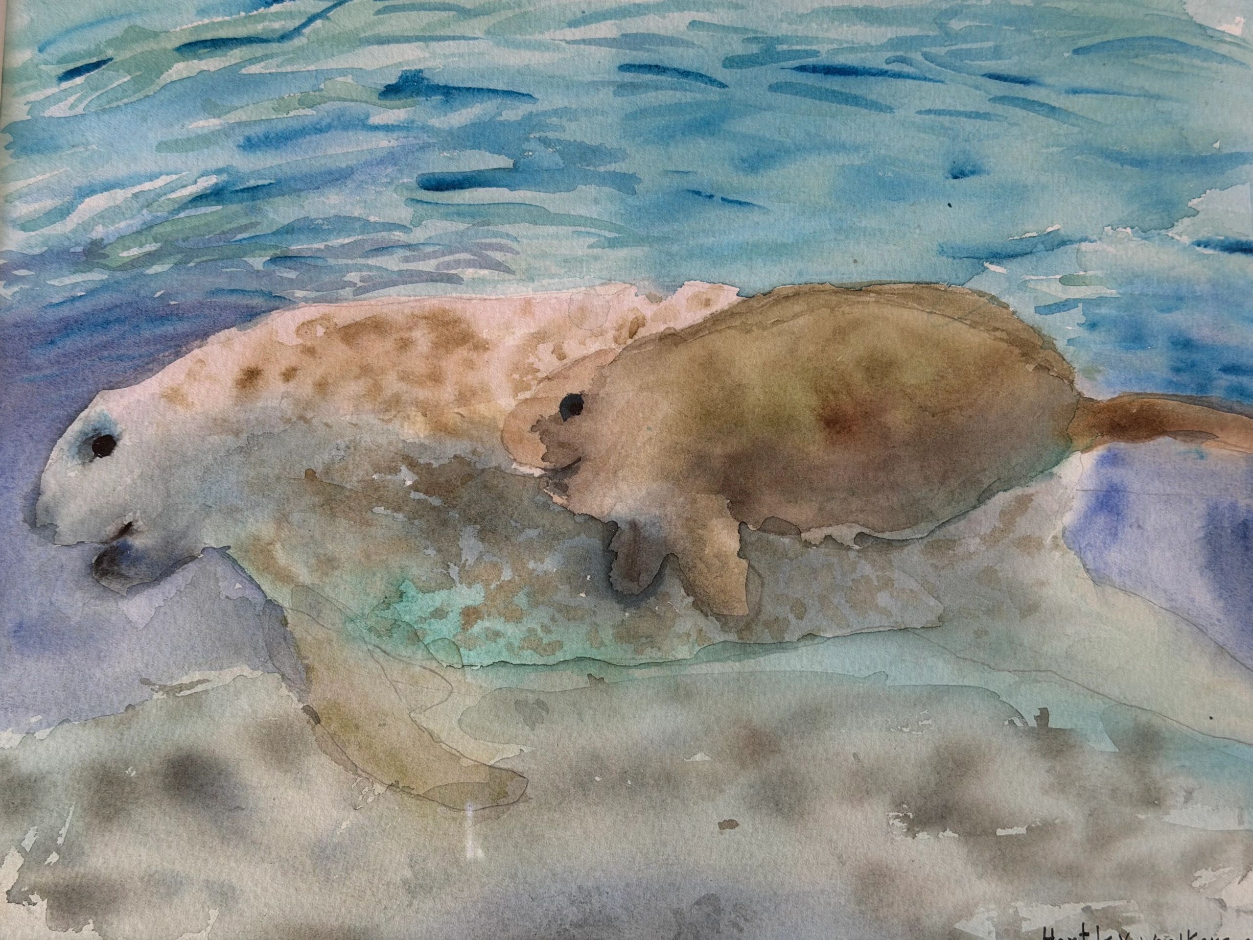 Custom artwork created by Hartley entitled “Love Lies Just Below”