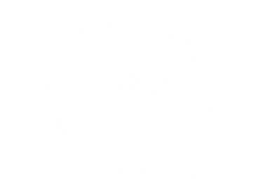 AI Consulting by Alpha AI