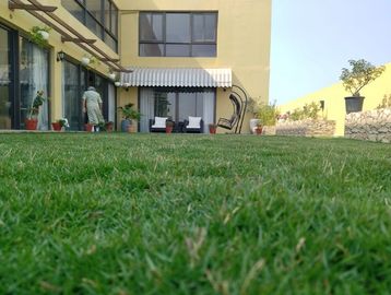 A woman tending to plants in a spacious backyard with green grass and patio furniture.